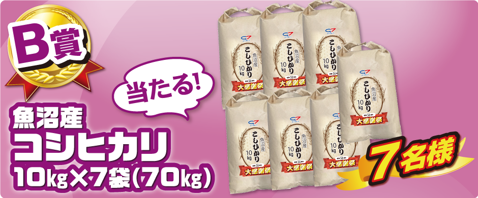 【B賞】魚沼産 コシヒカリ 10kg×7袋(70kg)