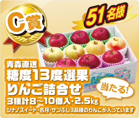 【C賞】青森直送 糖度13度選果 りんご詰合せ 3種計8~10個入・2.5㎏