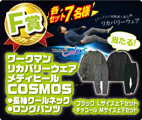 【F賞】ワークマン リカバリーウェア メディヒールCOSMOS ●長袖クールネック ●ロングパンツ