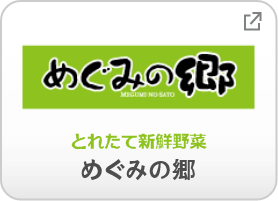 とれたて新鮮野菜 めぐみの郷