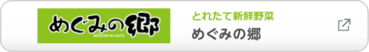 とれたて新鮮野菜 めぐみの郷