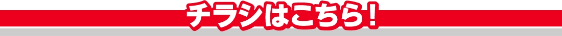 チラシはこちら！